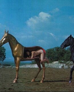 Макс — фото 1