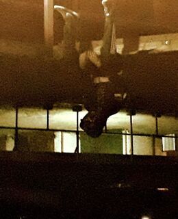 Борис — фото 1